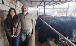 Yozgat’ta Atama Beklerken Kendi İşini Kurdu!