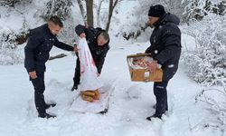 Yozgat Belediyesi’nden Örnek Davranış: Can Dostları Unutulmadı