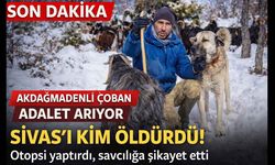 Yozgat Akdağmadeni’nde Çoban Köpeği tüfekle öldürüldü: keçi çobanı Sivas için adalet arıyor