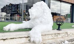 Yozgatlılar hayranlıkla baktı: Kaşıkla 3 Saatte Yapıldı!