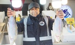 Kar Yağdı, Balık Ucuzladı: Yozgat’ta Tezgahlar Şenlendi