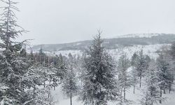 Yozgat’ta Kar Yağışı Etkisini Artırdı: Kent Beyaza Büründü, Buzlanma Hayatı Zorlaştırdı