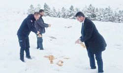 Soğuk Günlerde Sıcak Bir Dokunuş: Çandır Belediyesi Hayvanları Unutmadı