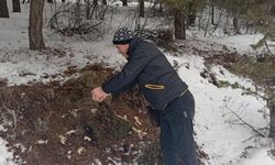 İyilik Bitmedi: Sessiz Dostlar İçin Sessiz Kahramanlar