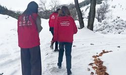 Yozgat’ta Örnek Proje: Gıda Atıkları Yaban Hayatına Can Oldu