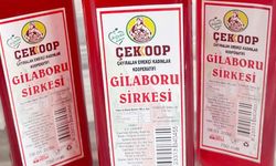 Çayıralan’ın Dağlarından Akıp Gelen Kırmızı Şifa: İçenin Hayatı Değişiyor