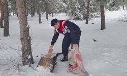 Yozgat’ta Soğuk Havada Can Dostlara Destek