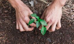 Boğazlıyan’da İhtiyaç Sahiplerine Umut Olacak: Kaymakam Kemal Bey Vakfı Kuruldu