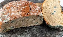 Küflü Diye Atmaya Kıyamıyoruz Ama… Bu Gıdalar Asla Tüketilmemeli