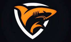 SHARKNECO’dan Dijitalde Güven Odaklı Yeni Model