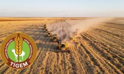 TİGEM 254 Sürekli İşçi Alımı Yapacak: Kadrolar ve Şartlar Açıklandı