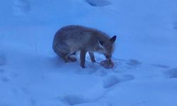 Yozgat Valiliği'nde sabah misafiri!