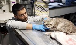 Yozgat Bozok Üniversitesi Boğazlıyan MYO’da 3+1 Modeliyle uygulamalı eğitim dönemi başladı