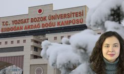 Yozgat Bozok Üniversitesi öğretim üyesine burs!