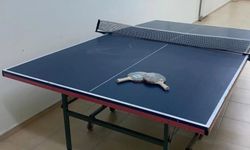 Boğazlıyan MYO’da Bahar Dönemi Hazırlıkları Tamamlandı