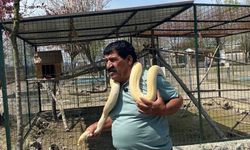 4380 Selim Abik Kimdir? Dolandırıldı mı, Öldü mü, Mesleği Ne?