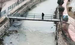 Sorgun Eğriöz Deresi özlenen görüntüsüne kavuştu: Belediye Başkanı duyurdu