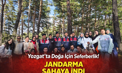 Yozgat’ta Doğa İçin Seferberlik! Jandarma Sahaya İndi