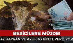 Yozgatlı Besicilere Büyük Destek! 42 Hayvan Veriliyor, Aylık 63 Bin TL Ödeme Yapılıyor