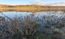 Yozgat Yaycılar Göleti Doldu: Üreticiler Sulama Sezonuna Gülen Yüzle Başladı