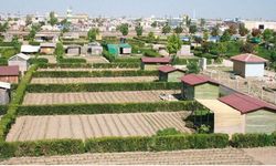 Hobi Bahçelerine Yeni Yasa Geliyor: Mevcut Alanlar Korunacak, Kaçak Yapıya Ağır Ceza