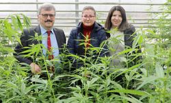 Yozgat Bozok Üniversitesi'nden bilimsel bir başarı daha