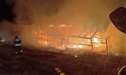 Muş Varto’da Ahır Yangını: 19 Büyükbaş Hayvan Telef Oldu, Aile Destek Bekliyor