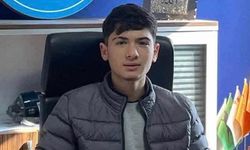 Yozgat’ta Sokak Köpeğinden Kaçan Çocuk Hayatını Kaybetti