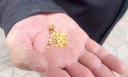 Yerköy’de Bir Emanet Yaşıyor: Bulgaristan’dan Gelen 48 Yıllık 'Sarı Dolma' Mirası