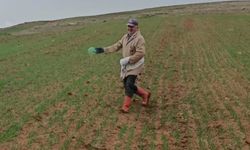 Yozgat Yortan Köyü’nde Bahar Mesaisi