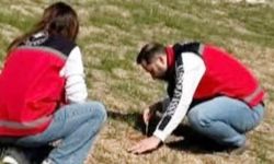 Sarıkaya’da Tarım Arazilerine Sıkı Takip: Zabrus ve Tarla Faresine Karşı Teknik Kuşatma