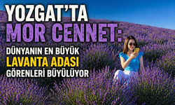 Yozgat’ta Mor Cennet: Dünyanın En Büyük Lavanta Adası Görenleri Büyülüyor