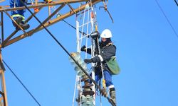 TEİAŞ 402 personel alımı başvurusu ne zaman? İŞKUR başvuru tarihi ve şartlar