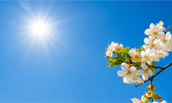 Yozgat’ta 25 Nisan Hava Durumu: Bahar Kendini Gösteriyor, Sıcaklık 15 Dereceyi Bulacak