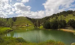 Yozgat’ta Yeşil Bir İstisna: Akdağmadeni Ormanları, Tarihi Dokusu ve Maden Geçmişiyle Dikkat Çekiyor