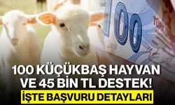 100 Küçükbaş Hayvan ve 45 Bin TL Destek Başladı: Başvuru Şartları ve Detaylar Açıklandı