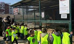 Pursaklar'da Doğa ve eğitim bir arada