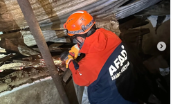 Yozgat’ta Ahır Çatısı Çöktü: 25 Büyükbaş Hayvan Vardı