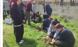 Çekerek’te Anlamlı Etkinlik: Şehit Mustafa Koçak Okulu Öğrencilerinden Fidan Dikimi