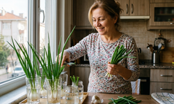 Marketten Almayı Unutturacak Yöntem! Tek Bir Kökten Defalarca Üreten Sistem