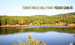Yozgat Çamlığı Milli Parkı: Türkiye’nin İlk Milli Parkı İç Anadolu’nun Yeşil Vahası