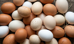 Yumurta İhracat Kotası 5 Kat Arttı: İç Piyasada Fiyatlar Ne Olacak?