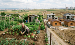Hobi Bahçelerine Yeni Düzenleme Geliyor: Üretim Yapan Korunacak, Kaçak Yapıya Yaptırım Artacak
