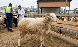Kurban Bayramı Öncesi Yeni Dönem: Denetimler Sıkılaşıyor!
