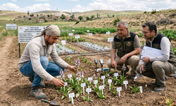 Yozgat’ın Tescilli Lezzeti Salep İlçelere Yayılıyor: Üretimde Yeni Dönem Başlıyor