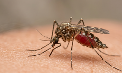 Yozgat Şehir Hastanesi’nden Kritik Uyarı! Yurt Dışına Gidecekler Dikkat