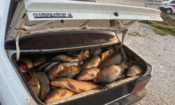 Yozgat’ta Kaçak Avcılığa Büyük Darbe: 250 Kilo Yasaklı Sazan Ele Geçirildi