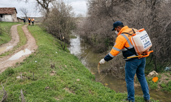 Yozgat’ta Sinek Alarmı: Çandır’da Larva Seferberliği Başladı!