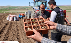 Yozgat’ta Yerli Tohum Hamlesi: Nohut Ekimleriyle Verim Artışı Hedefleniyor