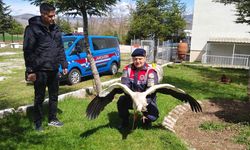 Yozgat’ta Hasta Leylek Kurtarıldı